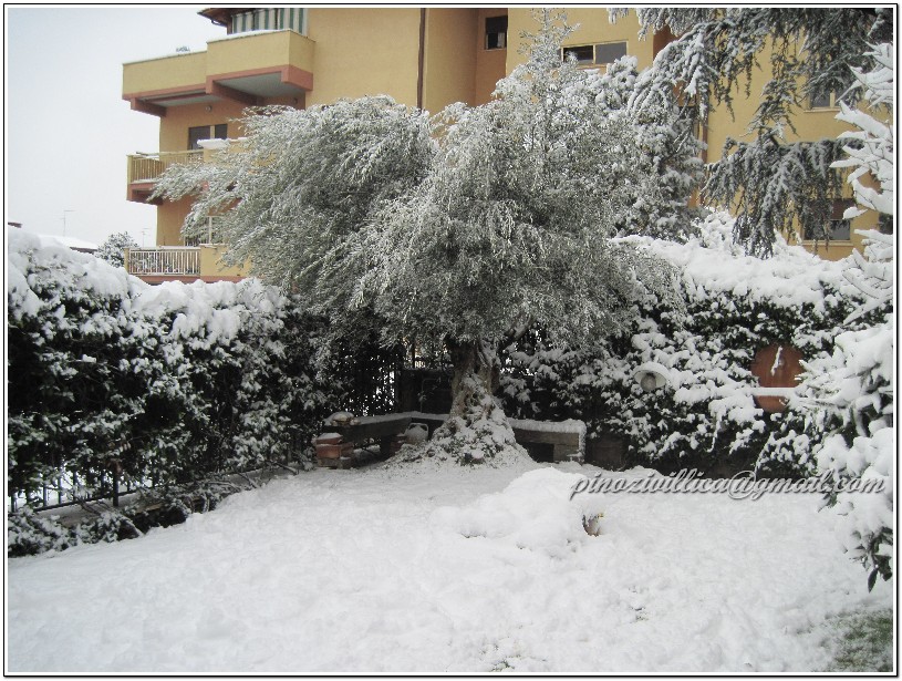 neveIMG 2716IMG 2716IMG 2716